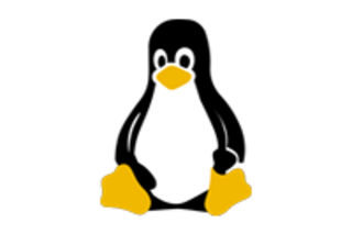 Linux Icon